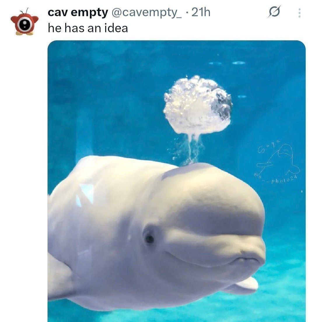 cav empty @cavempty_. 21h he has an idea Photo 24