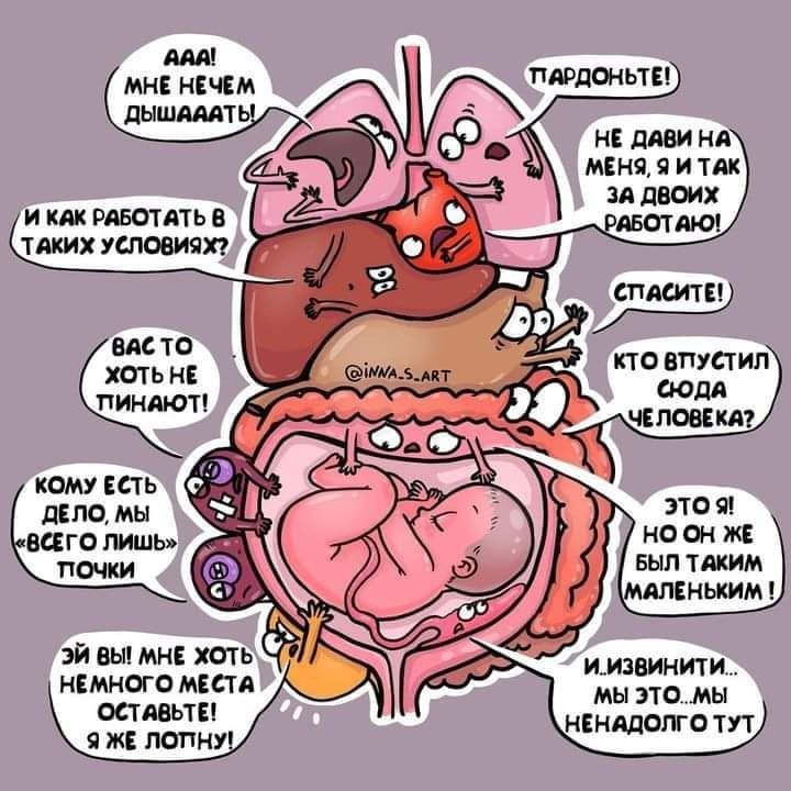AAA! МНЕ НЕЧЕМ ДЫШАААТЬ! И КАК РАБОТАТЬ В ТАКИХ УСЛОВИЯХ? ВАСТО ХОТЬ НЕ ПИНАЮТ! КОМУ ЕСТЬ ДЕЛО, МЫ &laquo;ВСЕГО ЛИШЬ&raquo; ПОЧКИ ЭЙ ВЫ! МНЕ ХОТЬ НЕМНОГО МЕСТА ОСТАВЬТЕ! Я ЖЕ ЛОПНУ! @iNNA.S_ART ПАРДОНЬТЕ! НЕ ДАВИ НА МЕНЯ, Я И ТАК ЗА ДВОИХ РАБОТАЮ! СПАСИТЕ! КТО ВПУСТИЛ СЮДА ЧЕЛОВЕКА? ЭТО Я! НО ОН ЖЕ БЫЛ ТАКИМ МАЛЕНЬКИМ ! и.извинити... мы это..мы НЕНАДОЛГО ТУТ