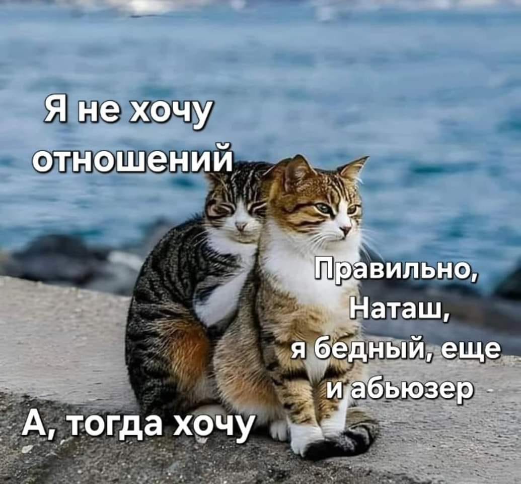 я не хочу отношений Правильно, Наташ, я бедный, еще и абьюзер А, тогда хочу