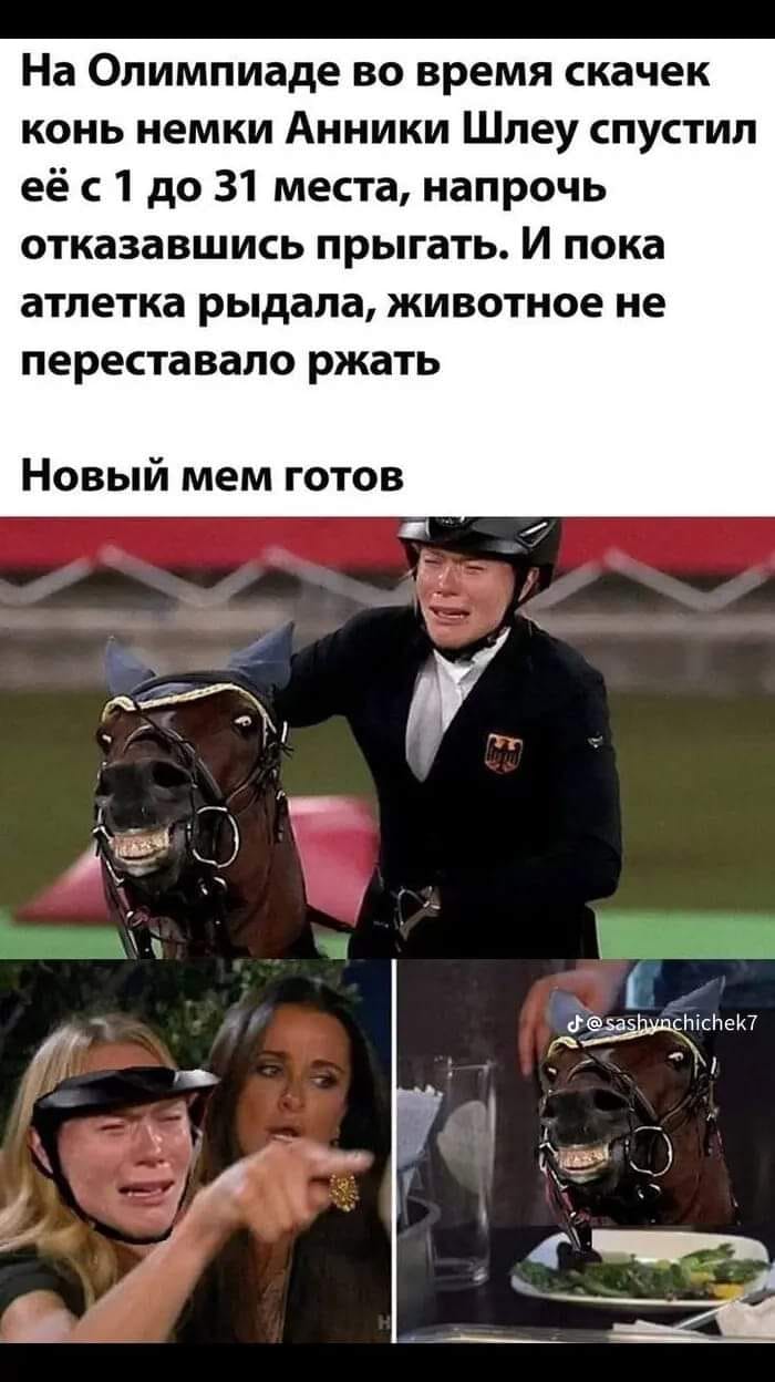 На Олимпиаде во время скачек конь немки Анники Шлеу спустил её с 1 до 31 места, напрочь отказавшись прыгать. И пока атлетка рыдала, животное не переставало ржать Новый мем готов d@sashynchichek7