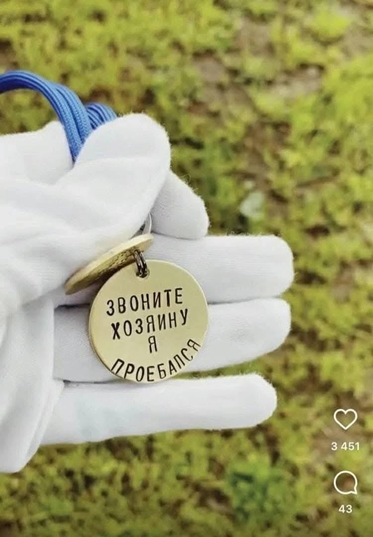 ЗВОНИТЕ ХОЗЯИНУ 3 451 43