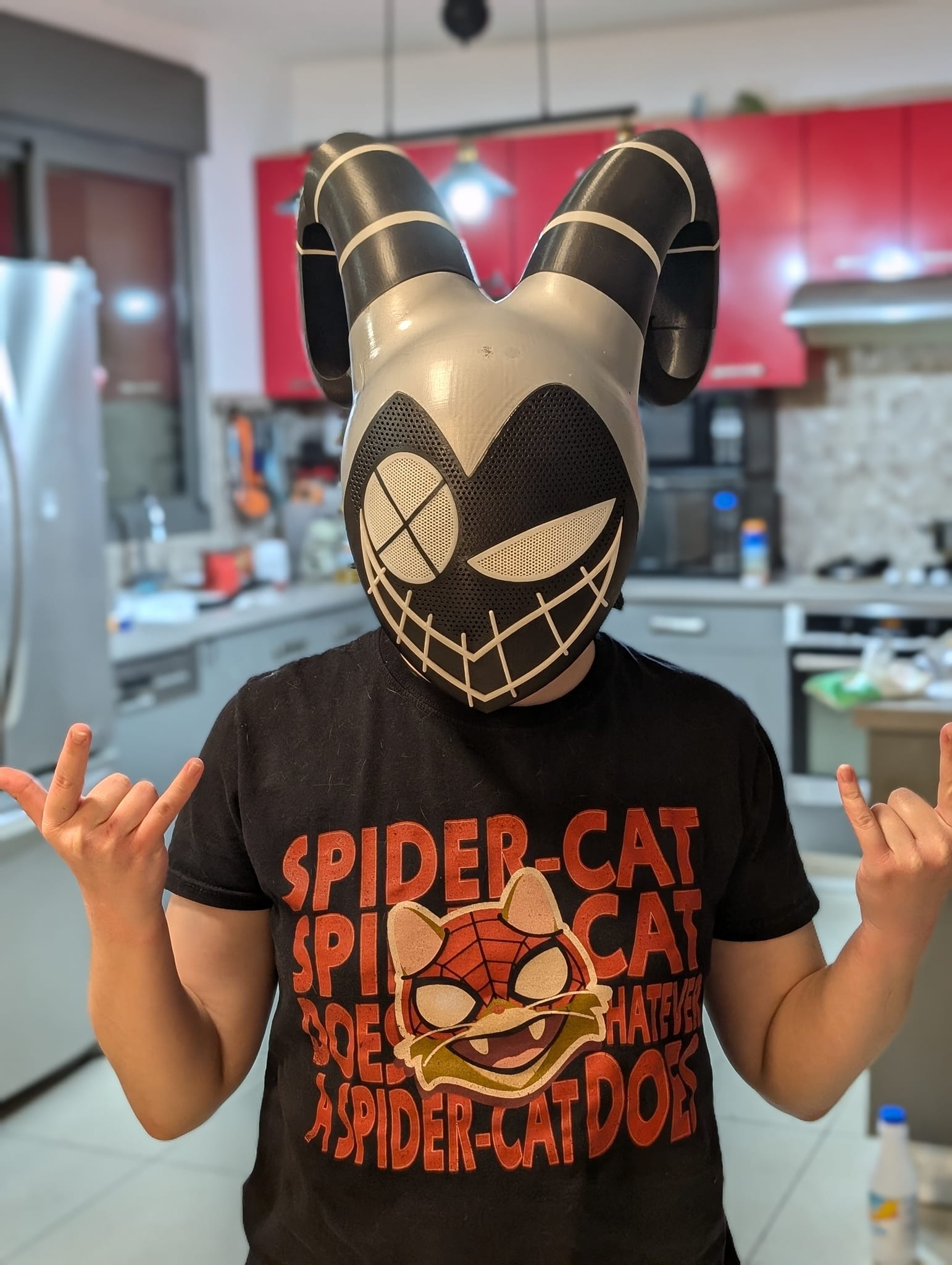 SPIDER-CAT SPI CAT S0E ASPDER CAI DOS